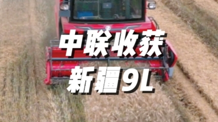 中聯收獲2023款新疆9L切縱軸流聯合收獲機作業視頻展示